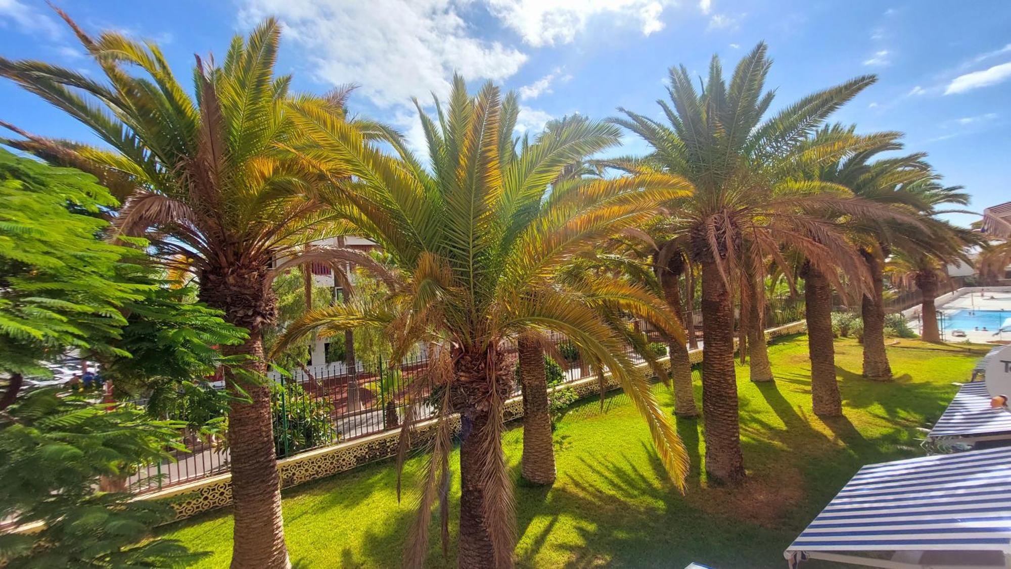 Apartamento Margarita Con Piscina En Playa Honda, Playa Las Americas Arona  Dış mekan fotoğraf